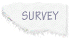 CustomerSurveybusiness